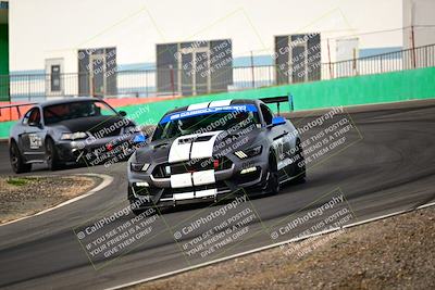 media/Feb-25-2024-Speed Ventures (Sun) [[b9a2a97a4d]]/Mustang Drivers Club/Session 1 (Turns 4 and 5)/
